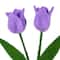 14" Tulip Felt Pick by Ashland®